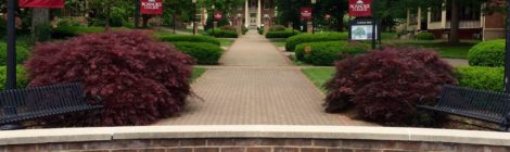 Returning to Roanoke